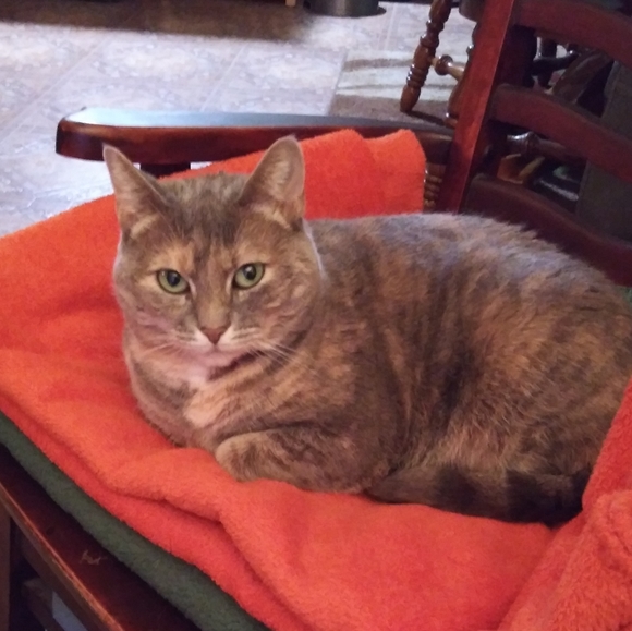 Meet Charlie - Picture 2 of 4